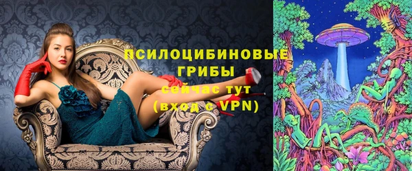 винт Алзамай