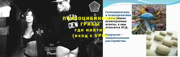 винт Алзамай