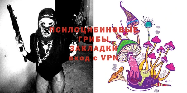 a pvp Алексин