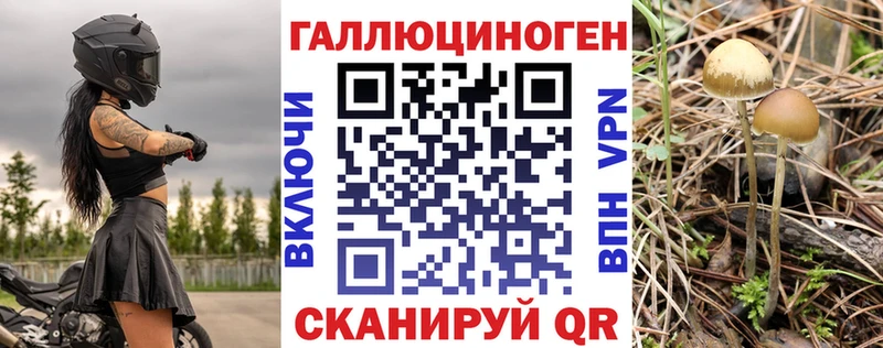 Псилоцибиновые грибы Cubensis Завитинск
