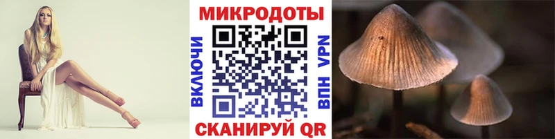 Псилоцибиновые грибы Magic Shrooms  купить наркоту  Завитинск 